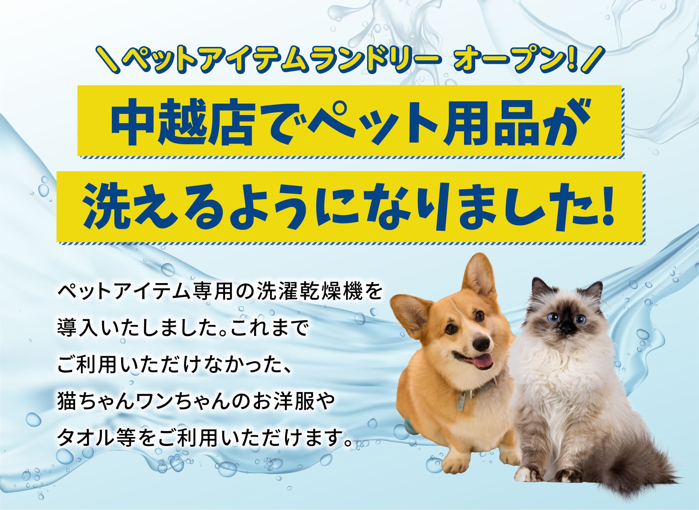 中越店でペット用品が洗えるようになりました！
